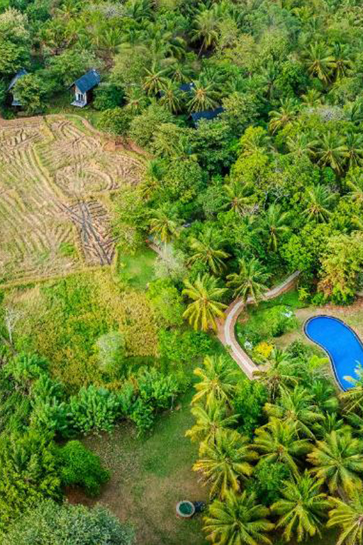 Farm Villa by Heritage – greenery